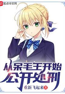 Public Execution Starting from the Saber cover