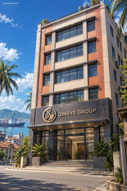 Qingye Group