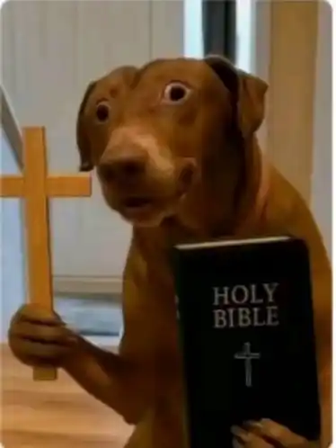 Hipopotamo